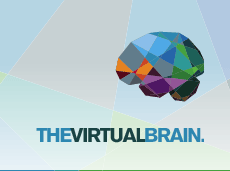 Centre for Integrative Brain Dynamics