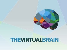 The Virtual Brain